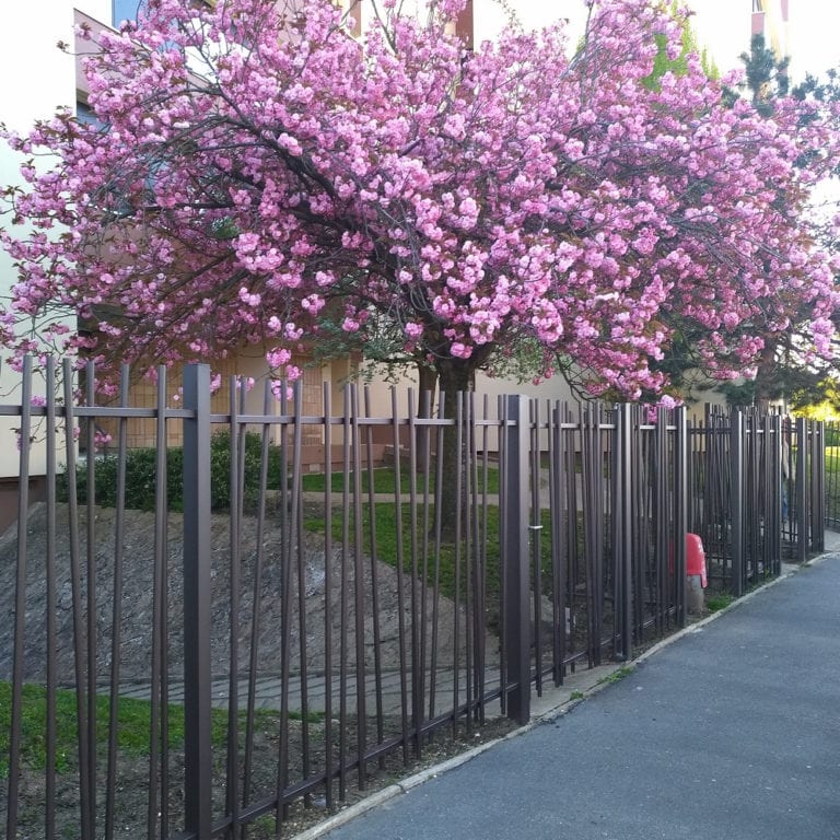 cloture immeuble Serpeo Le Plessis